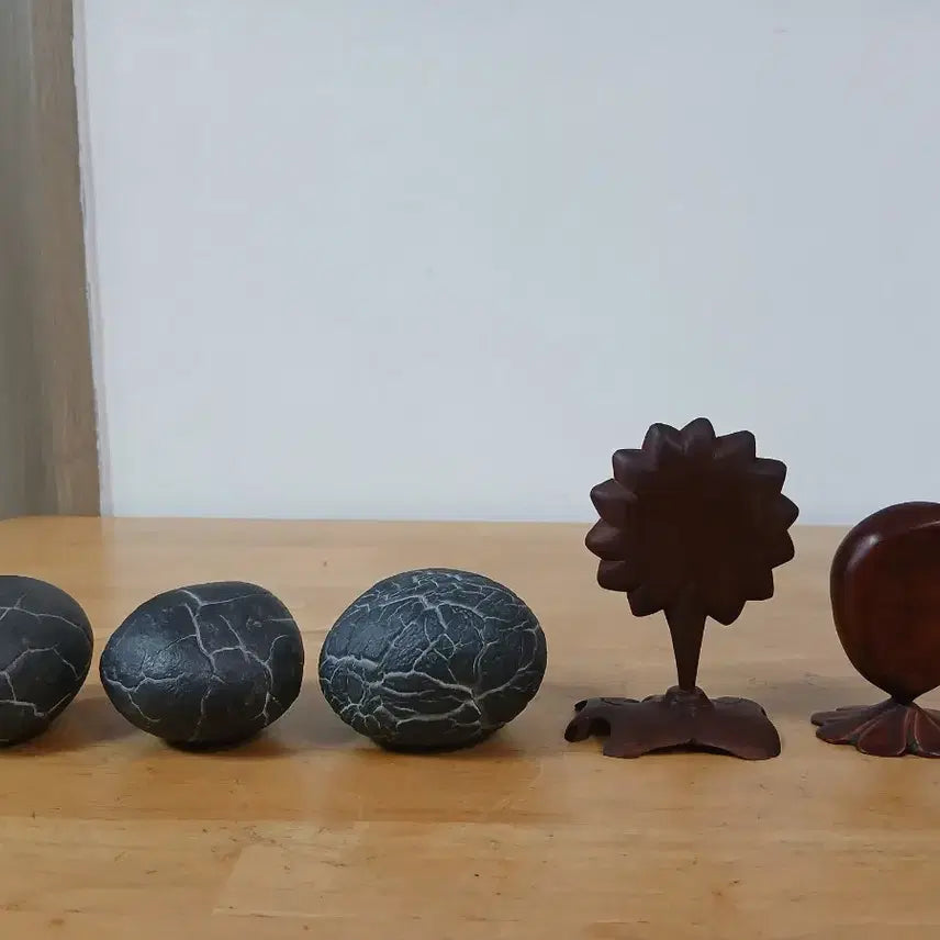 [BUNJANG] Rare Gukseok (Turtle Shell Stone) Specimens / 수석 ( 구갑석 )