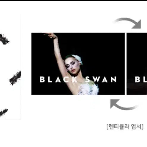 [BUNJANG] Black Swan Badge / <구매글> 블랙 스완 뱃지 구매합니다.