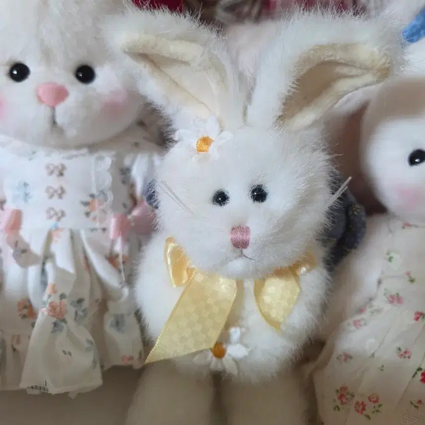 [BUNJANG] Boyds Bears Daisy Rabbit Ornament / 보이즈베어 데이지 토끼 오너먼트