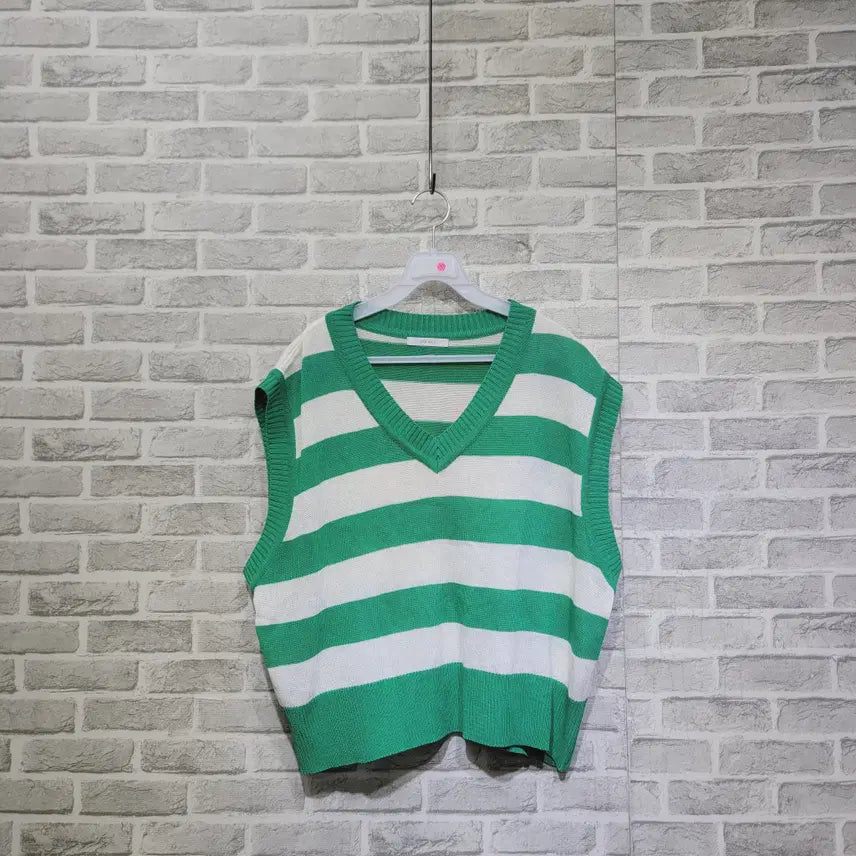 [SOLD OUT] ㄹ263 브이넥 베스트 F