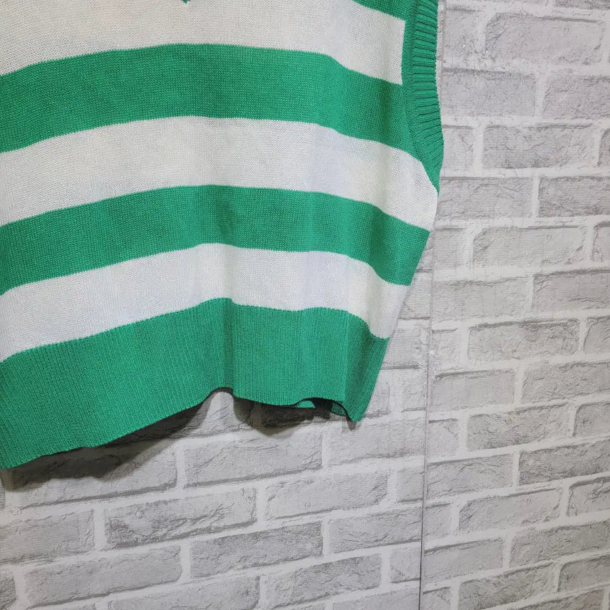 [SOLD OUT] ㄹ263 브이넥 베스트 F