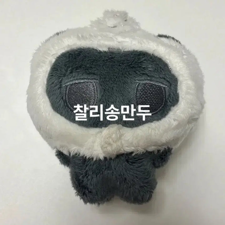 [SOLD OUT] 라이즈 은석 송만두냥 인형 양도 판매