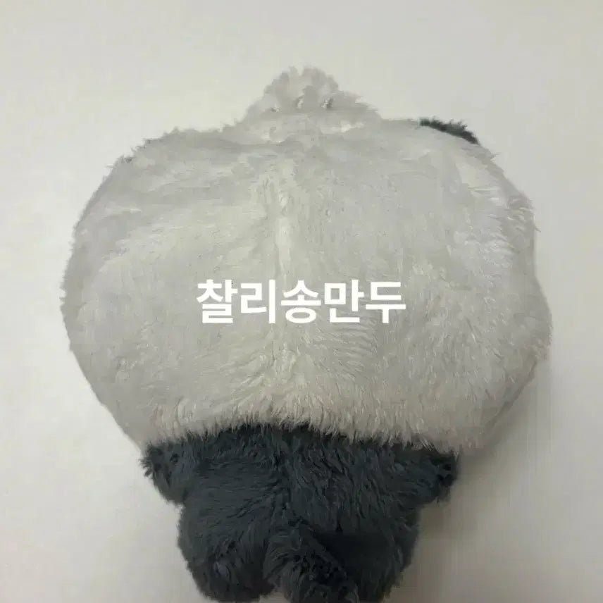 [SOLD OUT] 라이즈 은석 송만두냥 인형 양도 판매