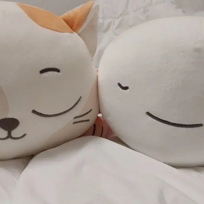 [BUNJANG] Cat B Cushion / 캣삐쿠션