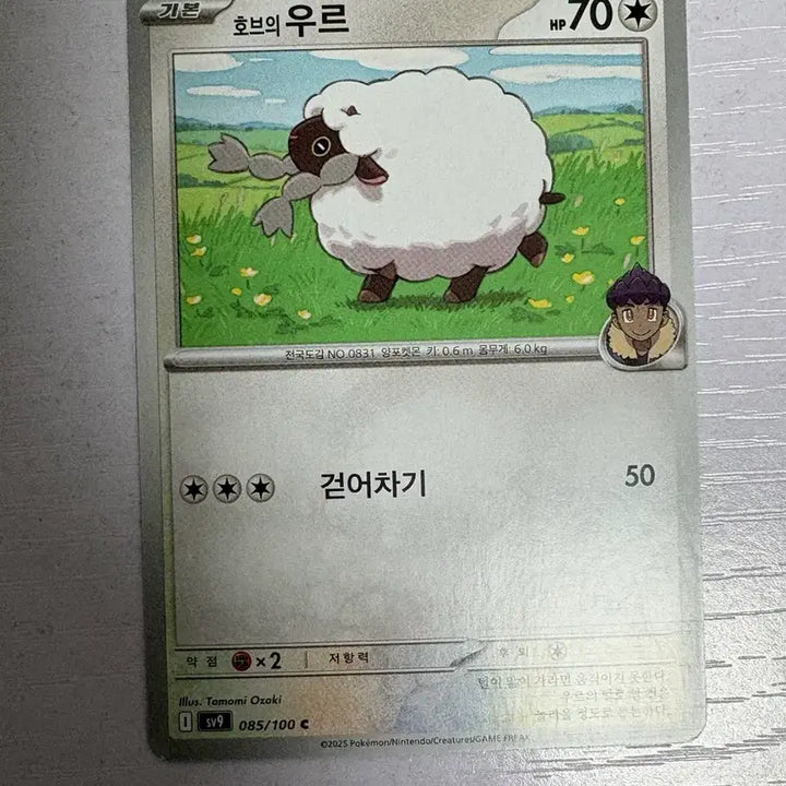 [BUNJANG] Adorable Pokemon Card Hob&