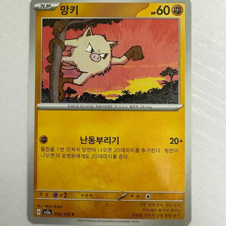 [BUNJANG] Cute Pokemon Card Mankey / [귀여운 포켓몬 카드] 망키