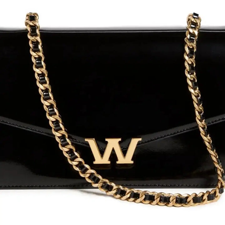 [BUNJANG] Alexander Wang Legacy Chain Shoulder Bag / 알렉산더왕 레거시 체인 숄더백