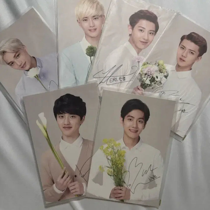 [BUNJANG] Nature Republic EXO Member Autographed Postcard Bundle Set / 네이처리퍼블릭 엑소 EXO 엑소 엽서판매 일괄