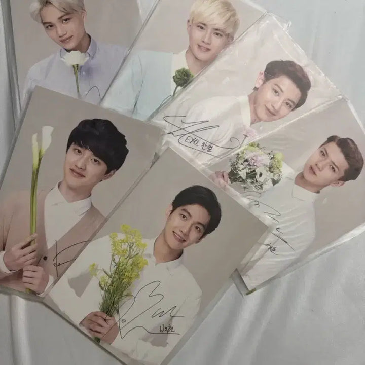 [BUNJANG] Nature Republic EXO Member Autographed Postcard Bundle Set / 네이처리퍼블릭 엑소 EXO 엑소 엽서판매 일괄