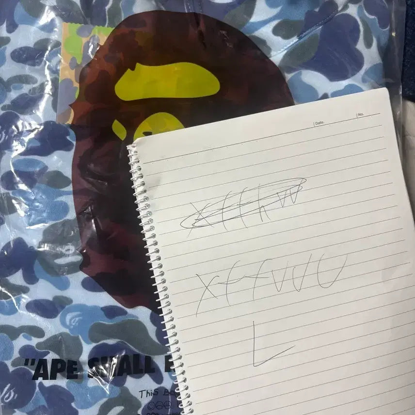 [BUNJANG] BAPE Shark Hoodie Blue / 베이프 샤크후드 블루