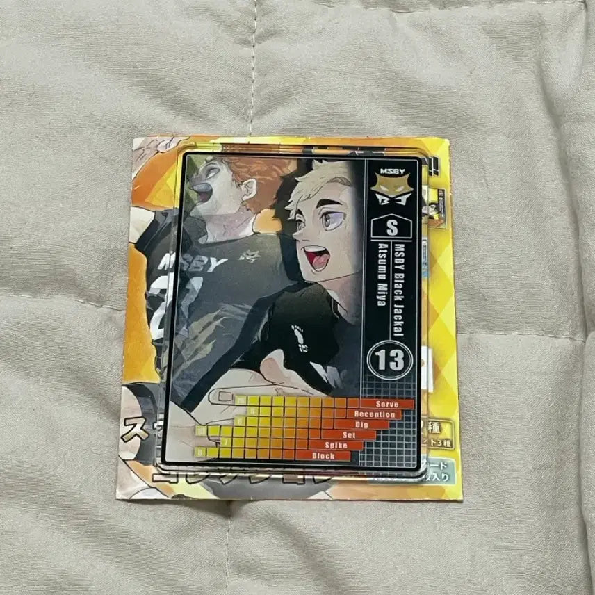 [SOLD OUT] 하이큐 아츠무 스테이터스 스테카