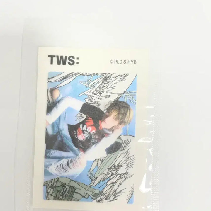 [BUNJANG] TWS Ttibeal Seal Bundle Set / TWS 투어스 띠부띠부씰