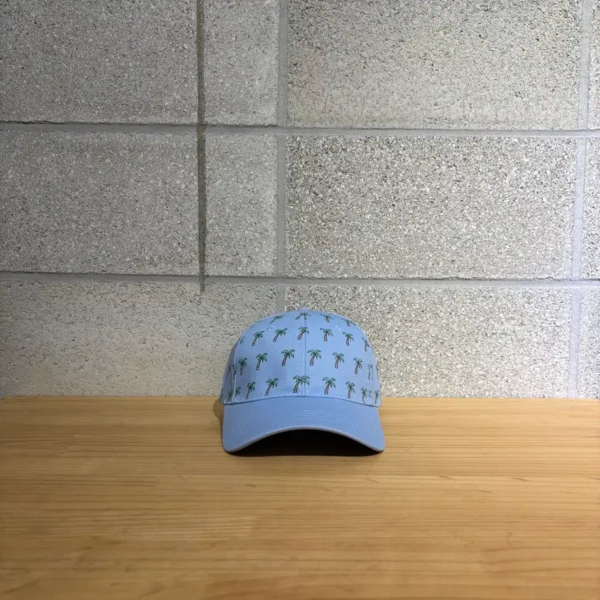 [BUNJANG] D.side Aloha Ball Cap / 새상품)디사이드 알로하 볼캡(C226 모자