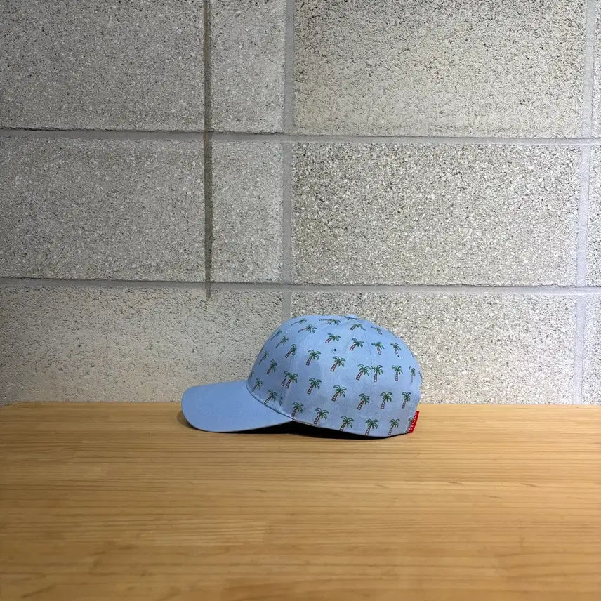 [BUNJANG] D.side Aloha Ball Cap / 새상품)디사이드 알로하 볼캡(C226 모자