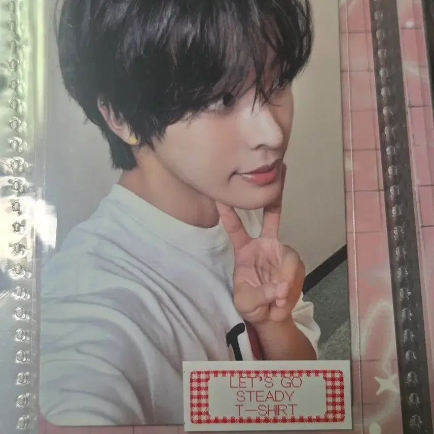 [BUNJANG] Riku Steady T-shirt Photocard / 리쿠 스테디 티셔츠 포카 양도