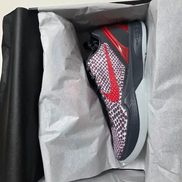 [BUNJANG] Nike Kobe 6 Protro Sneakers / [새제품]교환X_판매O나이키 코비6 프로트로 270mm