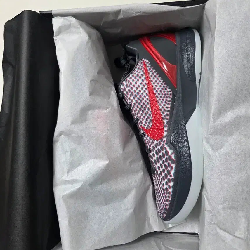 [BUNJANG] Nike Kobe 6 Protro Sneakers / [새제품]교환X_판매O나이키 코비6 프로트로 270mm