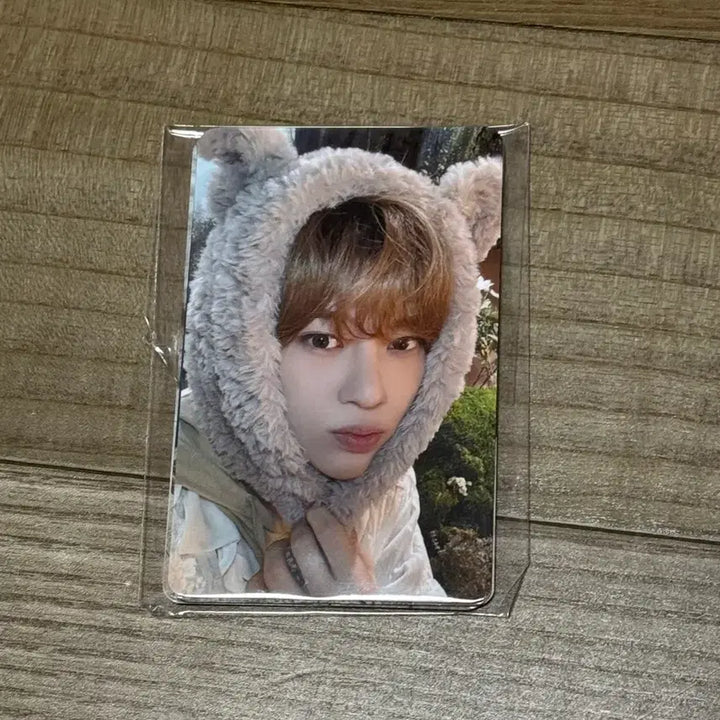 [SOLD OUT] 미개봉 새상품) nct wish 엔시티위시 일본 멤버십 포카 세트