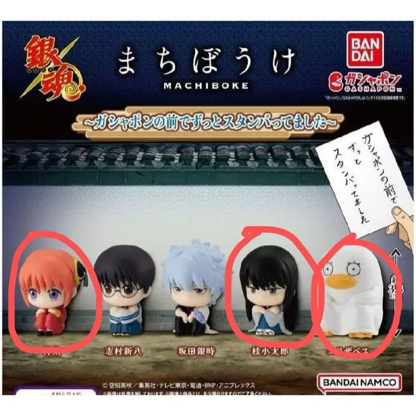 [BUNJANG] Gintama Machiboke Vol. 1 Set / 은혼 마치보케1탄 카구라 카츠라 엘리자베스 일괄