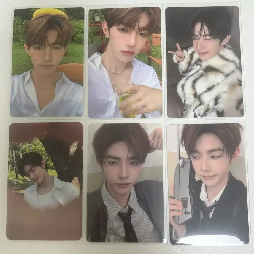 [SOLD OUT] 장하오포카(일괄)