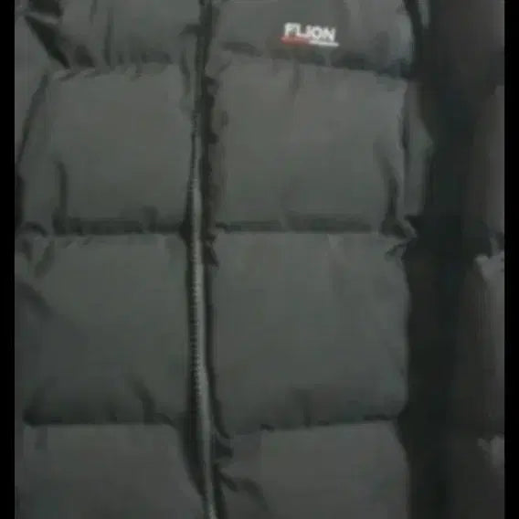 [BUNJANG] Plion Padded Jacket (Size M) / 플리온 패딩팝니다