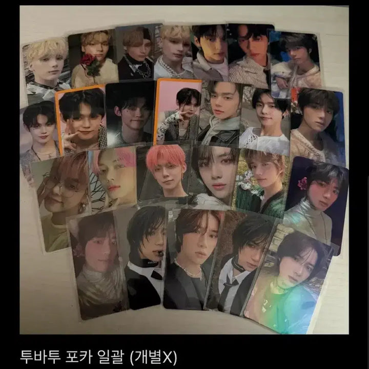 [SOLD OUT] 투바투 폭덤 일괄 처분 최연준 최수빈 최범규 강태현 휴닝카이