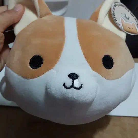 [BUNJANG] Cute Soft Corgi Plush Toy / 귀여운 말랑 웰시코기 인형