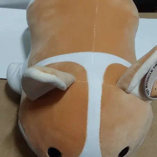 [BUNJANG] Cute Soft Corgi Plush Toy / 귀여운 말랑 웰시코기 인형