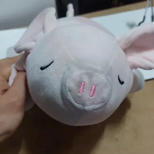 [BUNJANG] Mochi Mochi Sleepy Honey Cushion Plush / 모찌모찌 꿀잠쿠션 인형