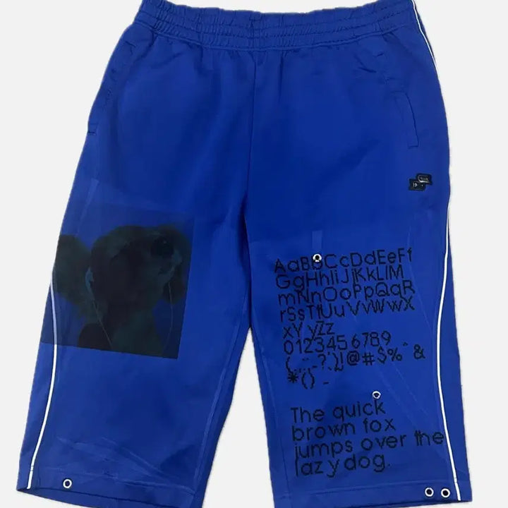 [BUNJANG] Vintage Graphic Printing 7-Seam Track Shorts / 빈티지 그래픽 프린팅 7부바지 반바지 트랙팬츠 농구바지