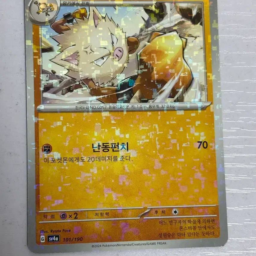 [BUNJANG] Pokemon Card Set / [귀여운 포켓몬카드] 성원숭 샤트버블레어