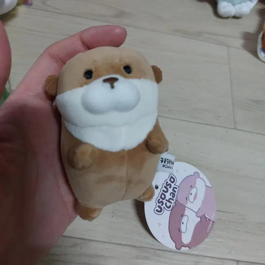 [BUNJANG] Woosoochoochan Otter Plush Keychain New / 우소우소짱 수달 인형 키링 새상품