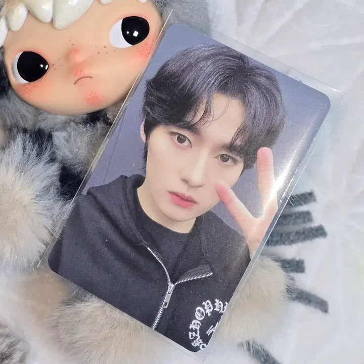 [SOLD OUT] 스키즈 리노 공방 포카 가요대제전 양도