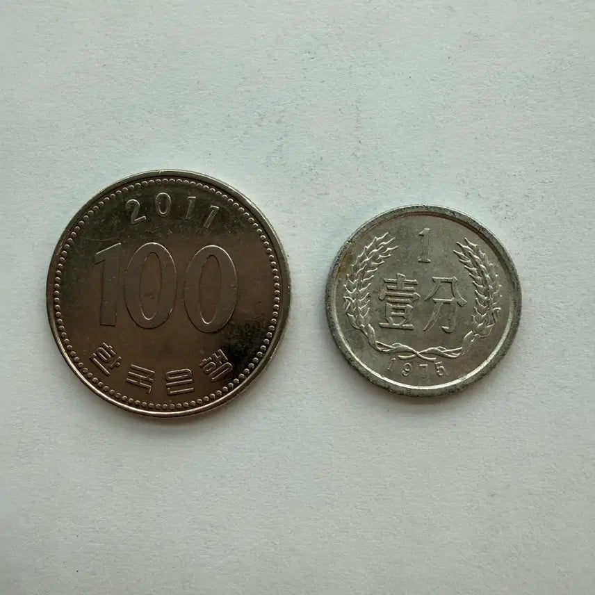 [BUNJANG] Chinese 1 Fen Coin 1975 / 1975년 중국 1분 동전 S554