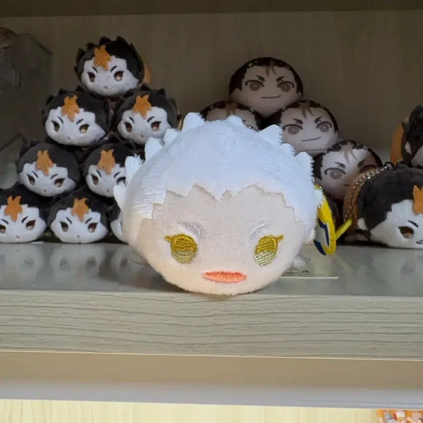 [BUNJANG] Haikyu Hoshiyumi Kourai Mochi-masu Plush Doll / 하이큐 모찌마스 누이 인형 호시우미