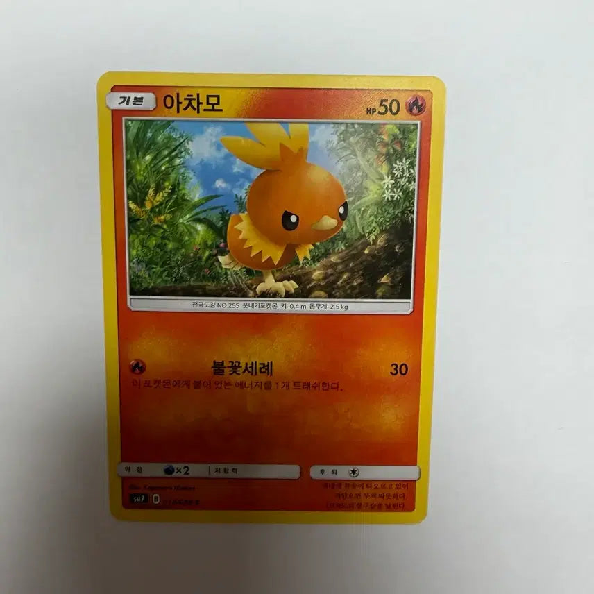 [BUNJANG] Pokemon Card Torchic / 아차모 포켓몬카드