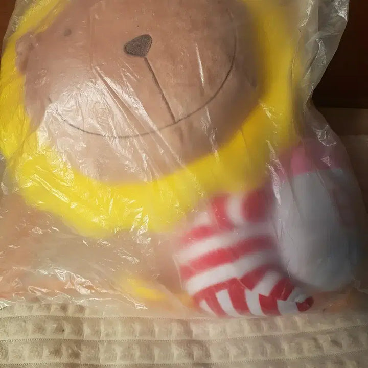 [BUNJANG] Lion Plush Toy / 포켓몬인형