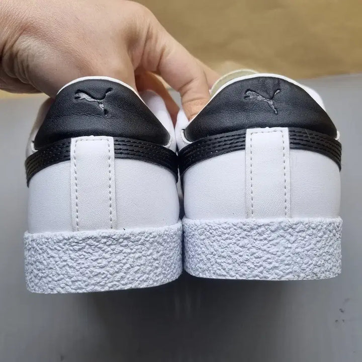 [BUNJANG] Puma Club Sneakers 245 / 푸마 클럽 운동화245