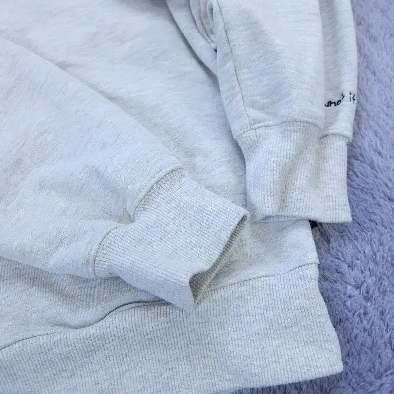 [BUNJANG] VARZIT ISNT HOODIE S / [S] 와릿이즌 후드티