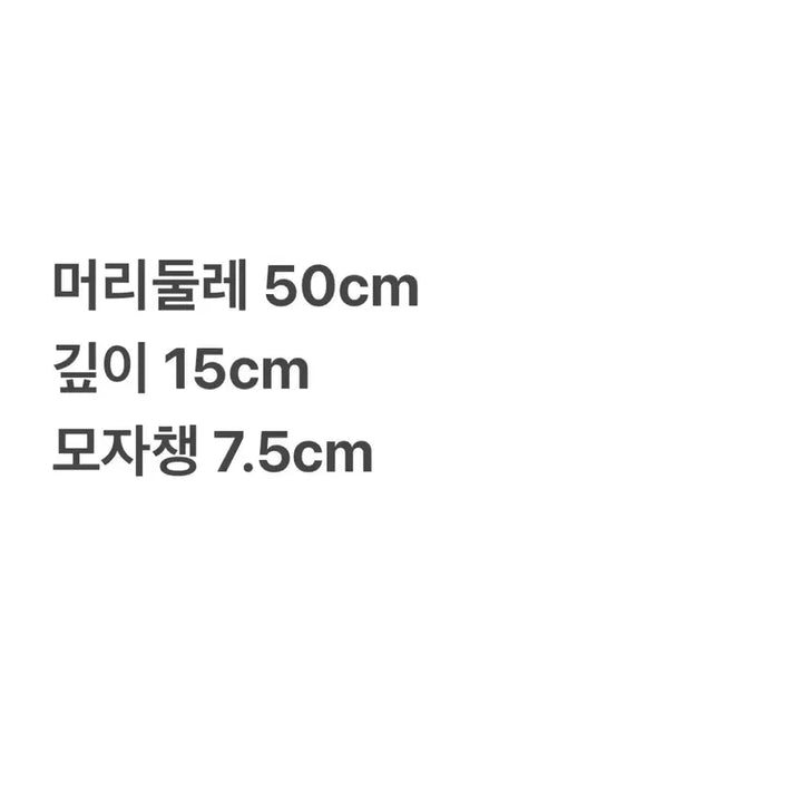 [SOLD OUT] 디스퀘어드2 DSQUARED2 로고 패치 트러커 메쉬 캡 모자