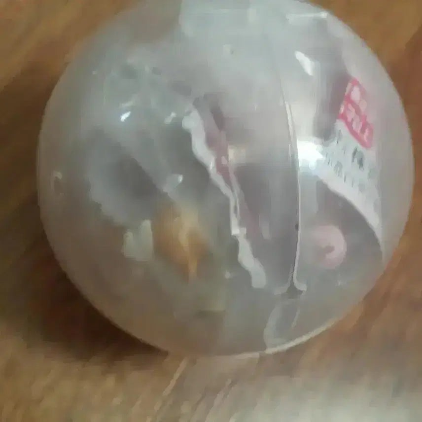 [BUNJANG] Cardcaptor Sakura Kero Torso (Rare) / 카드캡터 사쿠라 (체리 ) 가챠 토루소 - 케로 레어