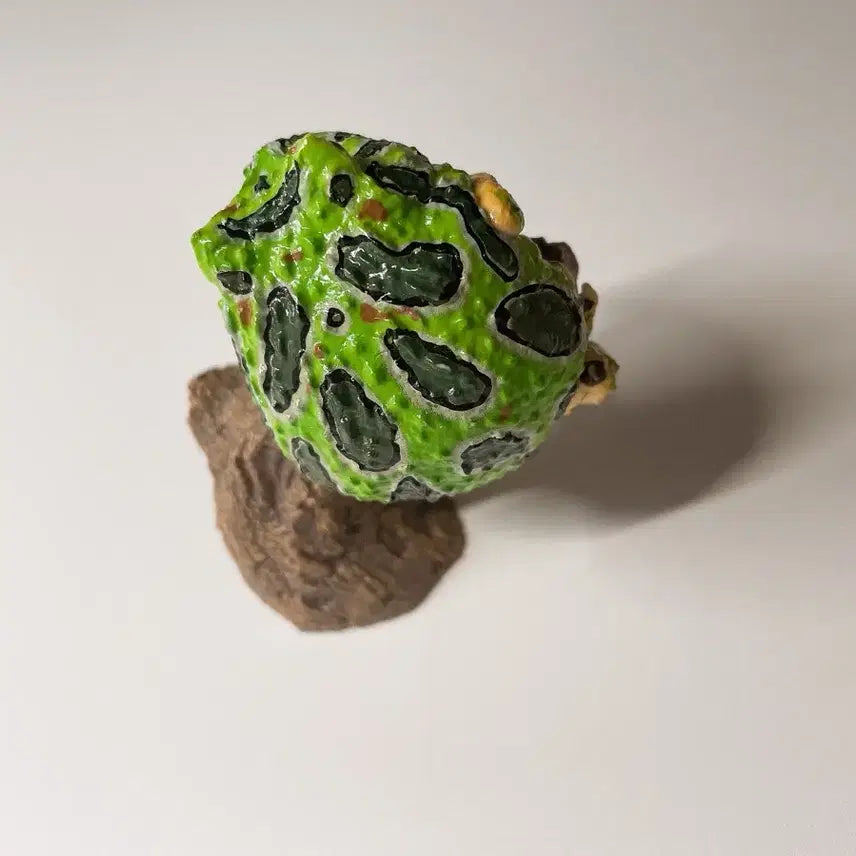 [BUNJANG] Bandai Finger Puppet Collection Pacman Frog Green / 반다이 생물대도감 손가락 위 컬렉션 가챠 팩맨개구리 그린