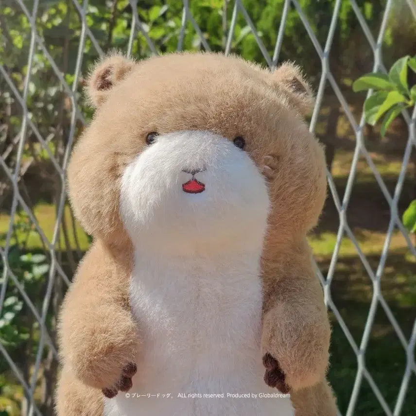 [BUNJANG] Prairie Dog 28cm Doll Brown / 프레리도쿠 28cm 인형 브라운