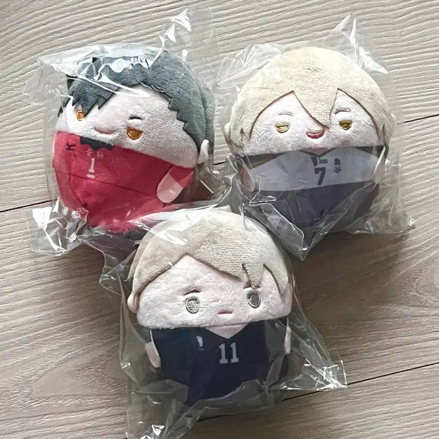 [SOLD OUT] 하이큐 후와코로링 후와 쿠지 쿠로오 코노하 오사무 d상 s