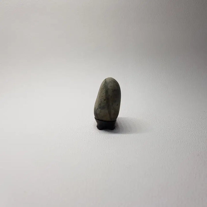 [BUNJANG] Monotone Stone with Taegeuk Pattern / 태극 문양의 조화가 돋보이는 모노톤 수석