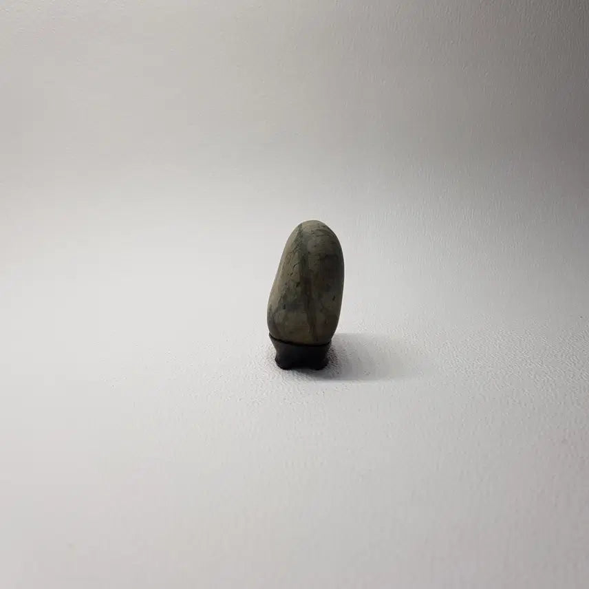 [BUNJANG] Monotone Stone with Taegeuk Pattern / 태극 문양의 조화가 돋보이는 모노톤 수석
