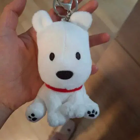 [BUNJANG] TAMA Friends Cat Plush Keychain / 타마프렌즈 인형 키링
