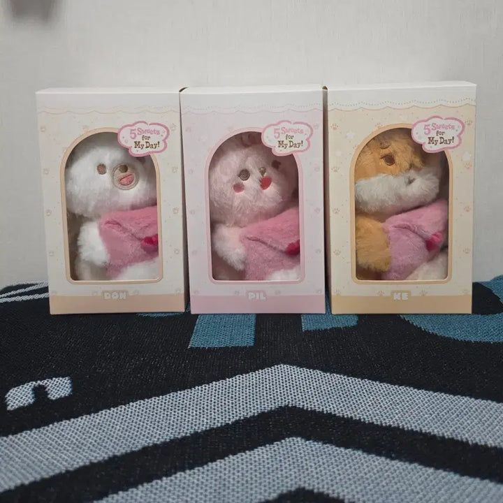 [SOLD OUT] 데이식스 보이스쁘멀 케, 필, 돈 일괄