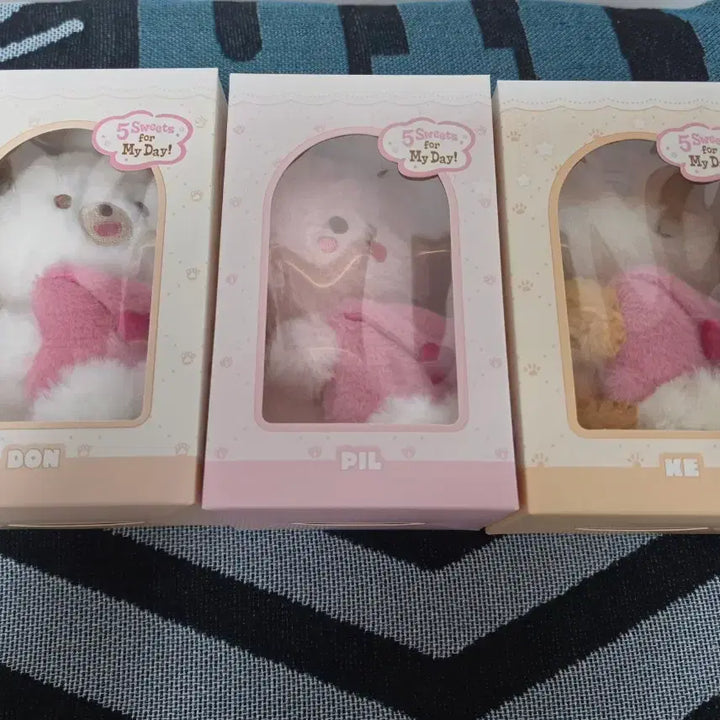 [SOLD OUT] 데이식스 보이스쁘멀 케, 필, 돈 일괄