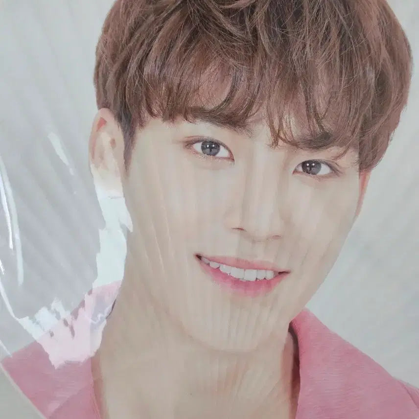 [BUNJANG] SEVENTEEN Mingyu Hanakom Uchiwa / 세븐틴 민규 하나콘 우치와